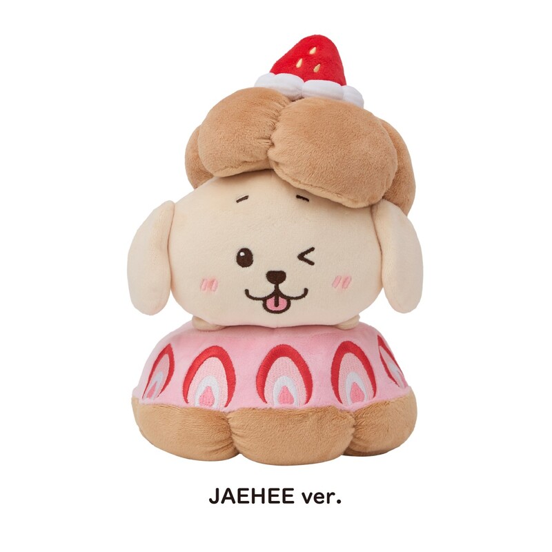 BIGぬいぐるみ | SMTOWN OFFICIAL ONLINE STORE
